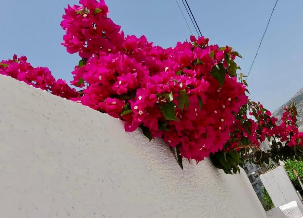 Ona Apartament Sarandë Buitenkant foto